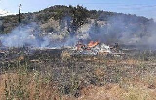 Bolu’da facianın eşiğinden dönüldü: Tarlada...
