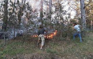 Bolu’da orman yangını başladı