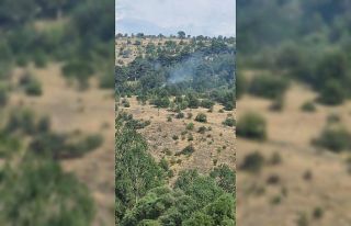 Bolu’da yıldırım kaynaklı çıkan yangınlar...