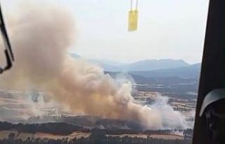 Bolu’daki orman yangını kontrol altına alındı:...