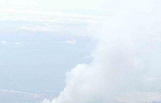 Bornova’da orman yangını