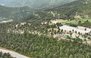 Böyleydi böyle oldu