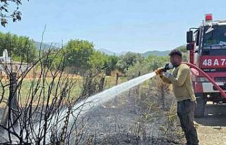 Bozarmut Ovası’ndaki zirai yangın kısa sürede...