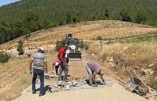 Bozdoğan Belediyesi Yeşilçam mahallesinde çalışmalara...