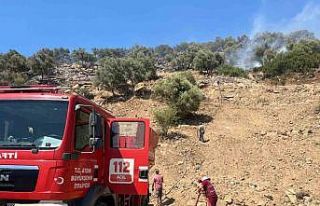 Bozdoğan’daki zirai alan yangını söndürüldü