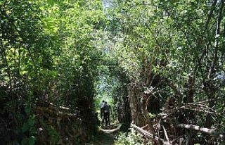 Bozkırın ortasında vahayı andırıyor, yeşilliği...