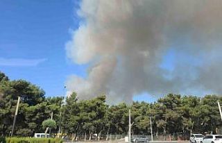 Buca’da orman yangını