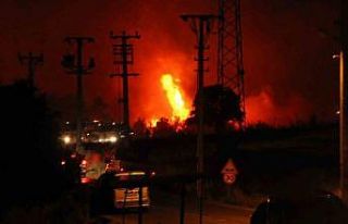 Buca’daki orman yangını yerleşim yerine ulaştı,...