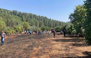 Bucak’ta çıkan arazi yangınında 1 dönüm alan...