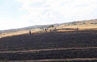 Buğday ekili tarlada çıkan yangında 15 dönüm...