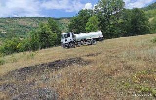 Buğday tarlasında korkutan yangın