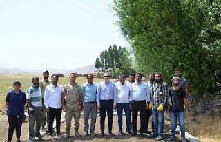 Bulanık’ta yol asfaltlama çalışması