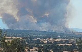 Bulgaristan’daki orman yangını Türkiye sınırına...