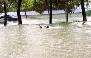 Bulvarda yüzüp sıra dışı bir tepkiye imza attı
