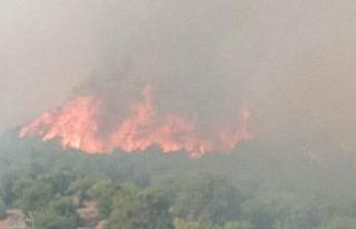 Bursa-Balıkesir sınırında orman yangını: Köy...