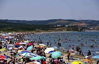 Bursa sahillerinden sevindiren haber