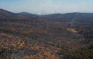 Bursa’da acı tablo: Harmancık’ta yanan yerler...