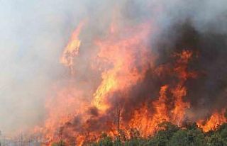 Bursa’da alevler tekrar yükseldi