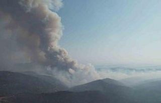 Bursa’da alevler yeniden yükseldi, müdahale havadan...