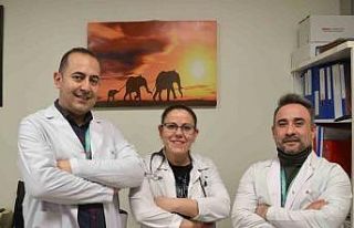 Bursa’da kök hücre başarısı