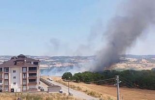 Bursa’da korkutan anız yangını