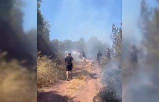 Bursa’da korkutan orman yangını.