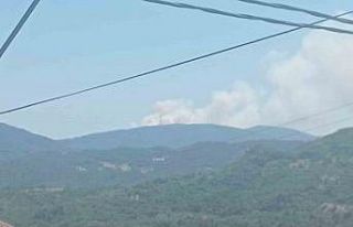 Bursa’da orman yangını: Havadan ve karadan müdahale...