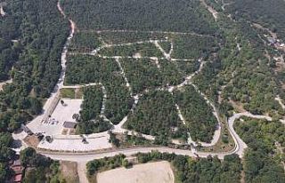 Bursa’da ormanlara giriş yasaklandı