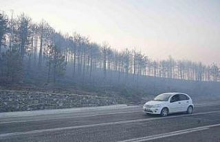 Bursa’daki orman yangını 3. gününde... Gökyüzünü...