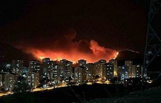 Bursa’daki orman yangını geceyi gündüze çevirdi......