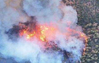 Bursa’daki orman yangınları büyüyor