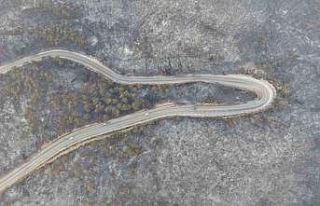 Bursa’daki yangının acı boyutu gün ağarınca...