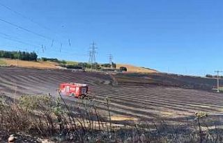 Büyükçekmece’de tarlada yangın: Alevler evlere...