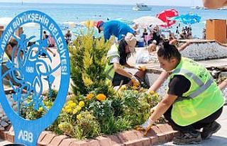 Büyükşehi’den Didim’de peyzaj ve temizlik çalışması