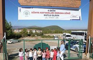 Büyükşehir Geçici Hayvan Bakımevi’nden 3 bin...