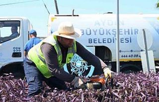 Büyükşehir’den Didim’de bakım ve onarım çalışması