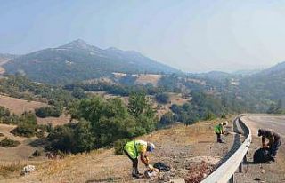 Büyükşehir’den yangın bölgelerinde çevre temizliği