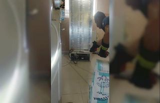 Buzdolabı motoruna giren yılanı itfaiye çıkardı