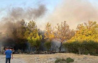 Çanakkale’de park halindeki midibüste çıkan...