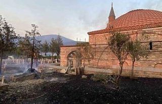 Çanakkale’deki orman yangınında tarihi mezarlar...