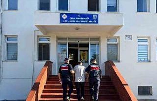 Çanakkale’deki yangına neden olan biçerdöver...