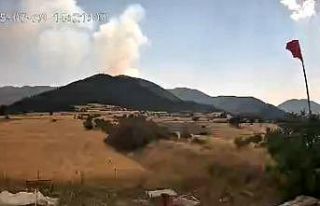 Çankırı-Kastamonu sınırındaki orman yangınının...