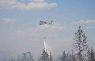 Çankırı Valiliği: "Orman yangınına 216...