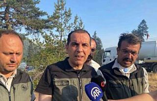 Çankırı Valisi Taşolar: "Yangının ilerleyişi...