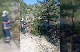 Çankırı’da çıkan ot yangını büyümeden söndürüldü