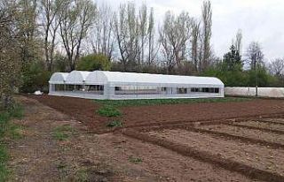 Çankırı’da yenilenen seralar üretime yeniden...