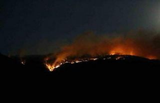 Çankırı’daki orman yangınına ekiplerin müdahalesi...