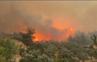 Cepheye gider gibi alevlerin üzerine böyle gittiler