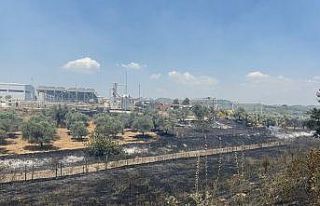 Çift sürülen tarla yangında zarar görmedi