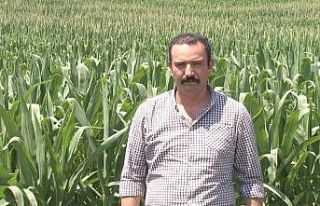 Çiftçiye sıcak hava uyarısı: Hastalık ve zararlılar...